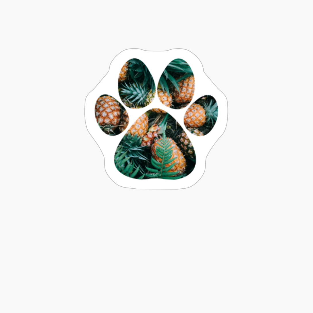 Ananas Paws - Summer Edition
