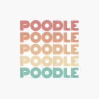 Poodle