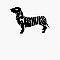 Dachshund