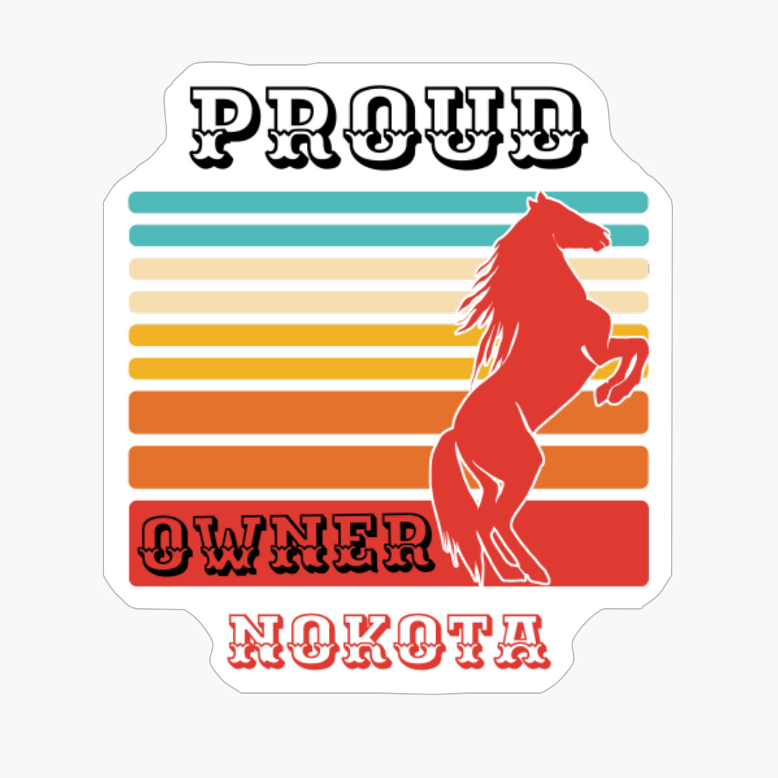 Nokota Horse Breed Proud Owner
