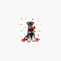 Schnauzer Valentines Day Outfit Dog Valentine