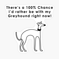 There's A 100% Chance I'd Rather Be With My Greyhound Right Now