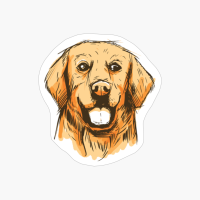 Hand Drawn Golden Retriever Labrador