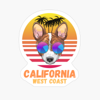 Dog Beach Sunset California West Coast Usa