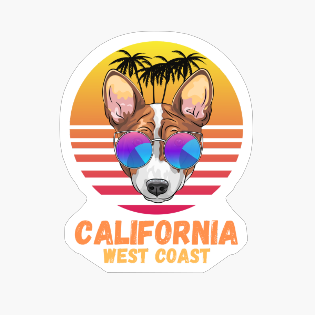 Dog Beach Sunset California West Coast Usa