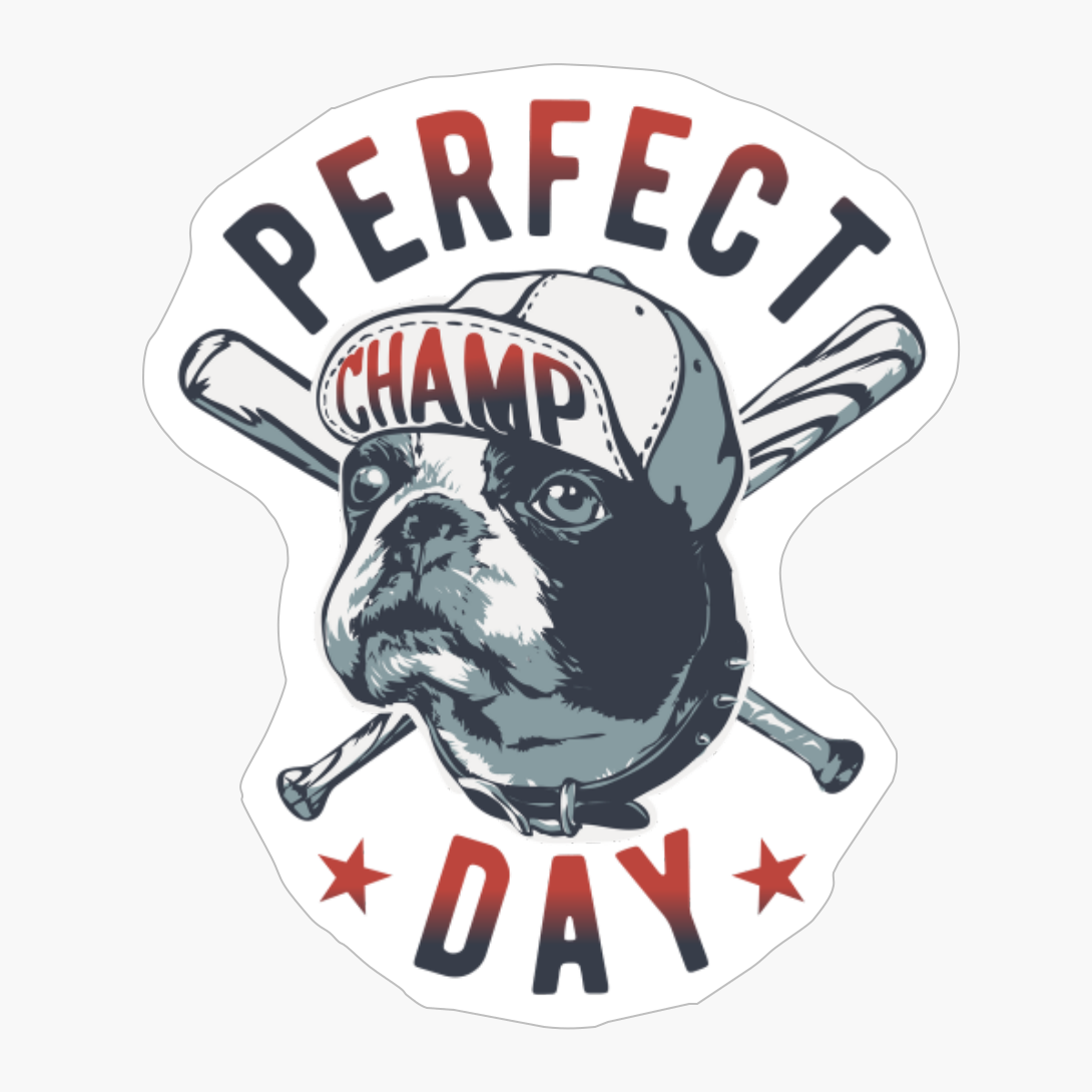 Perfect Day For A Baseball Game!