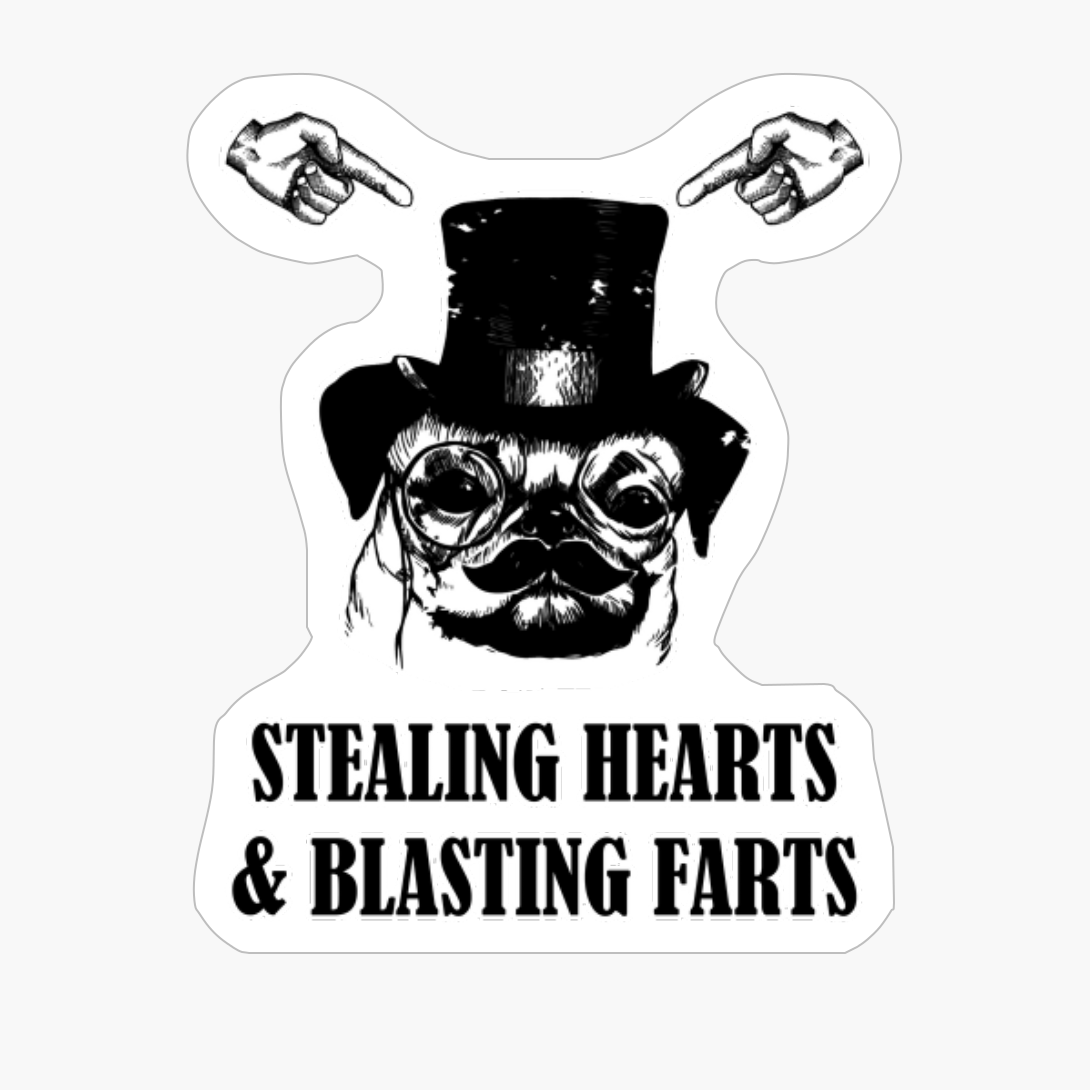 Stealing Hearts And Blasting Farts (Dog In Hat)