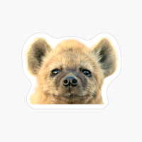 Hyena Face