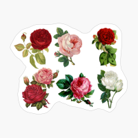 Roses Collage Vintage Antique Classic Floral