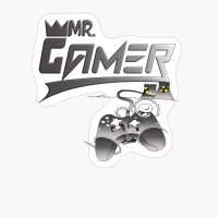 MR. GAMER