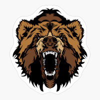 Grizzly Bear Head