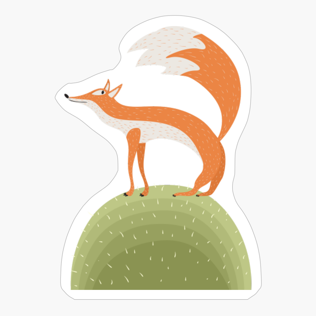 Cute Fox Character Cartoon