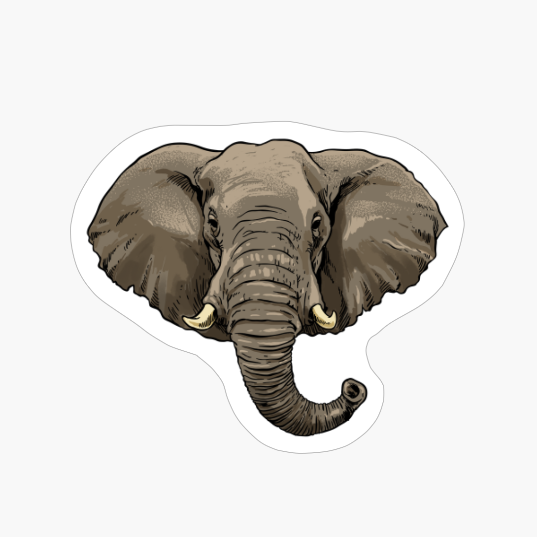 Elephant Cute Elephant Lover Women Men Gift