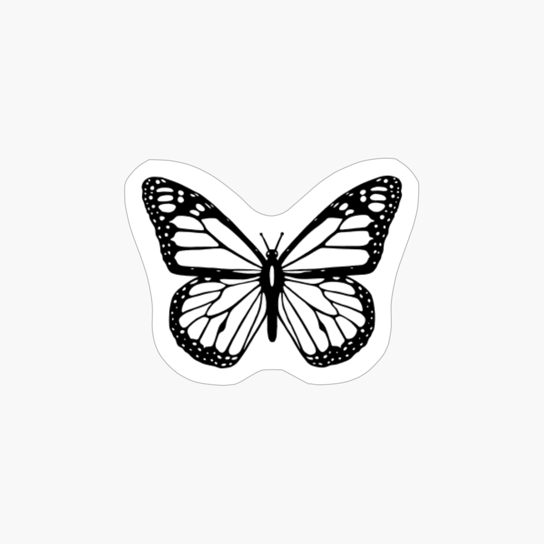 Beautiful Black Butterfly