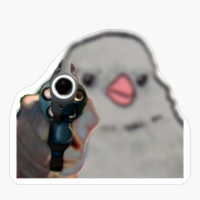 Bird Meme Pistol, Bird Meme Revolver, Bird Meme, Annoyed Bird Meme, Annoyed Bird, Annoyed Bird With A Gun