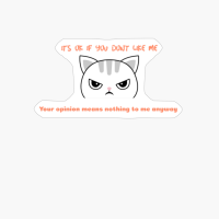 It's Ok If You Don't Like Me Your Opinion Means Nothing To Me Anyway