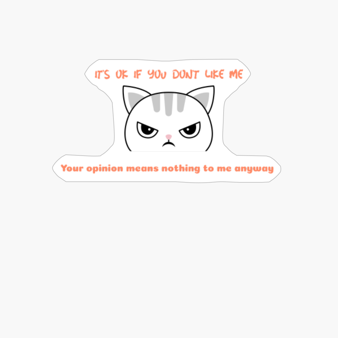 It's Ok If You Don't Like Me Your Opinion Means Nothing To Me Anyway