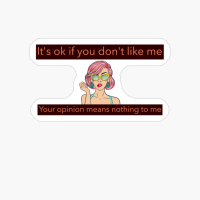 It´s Ok If You Don't Like Me Your Opinion Means Nothing To Me