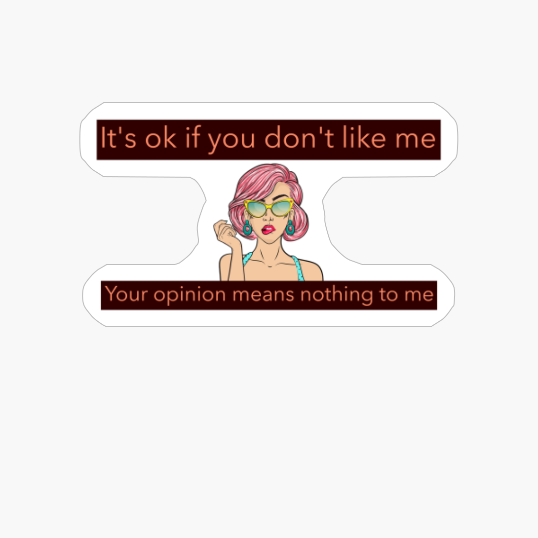 It´s Ok If You Don't Like Me Your Opinion Means Nothing To Me