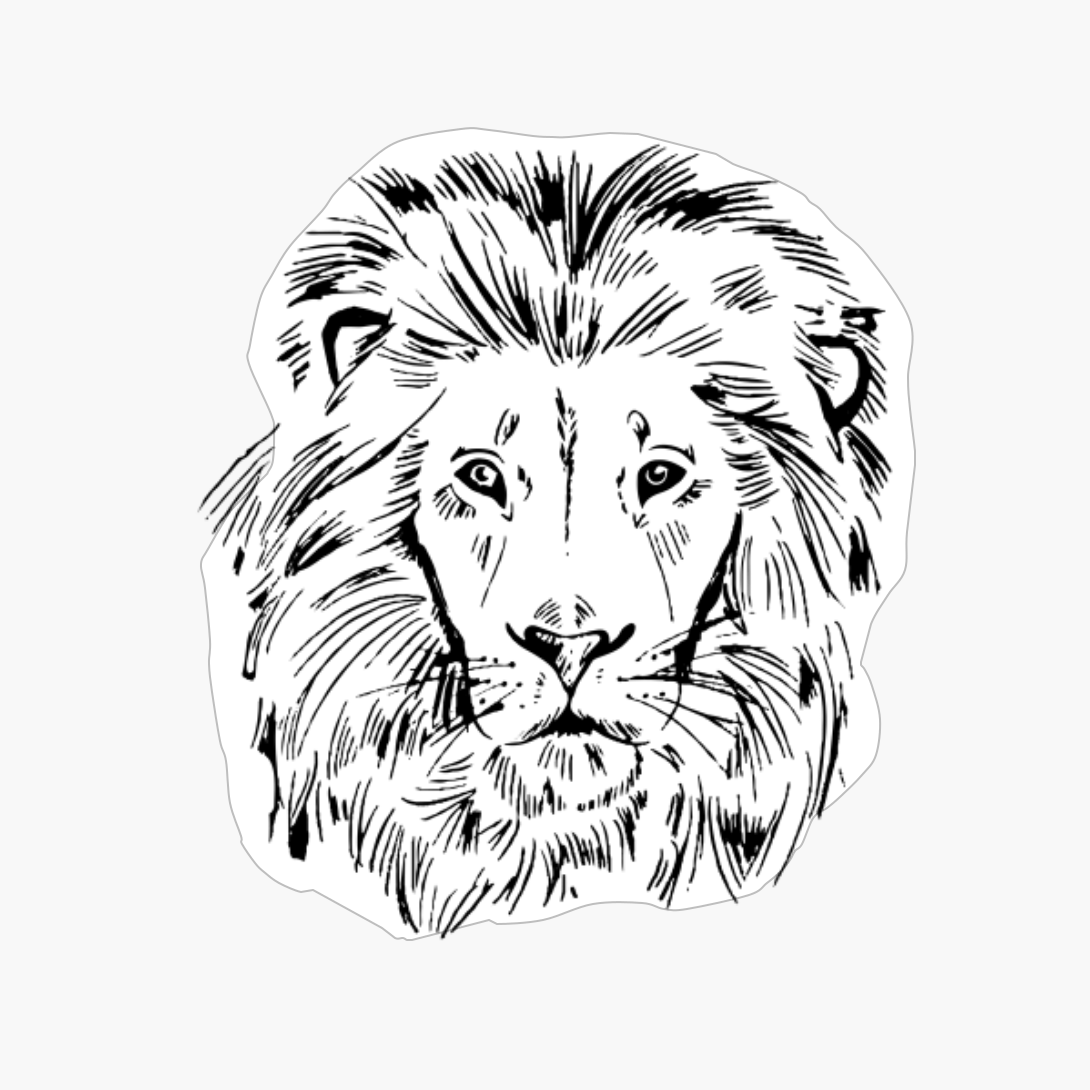 Lion Face Art Cool Graphic Zoo Animals Lover Zoo Keeper Gift