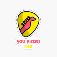 You Picked Right: Guitar Life