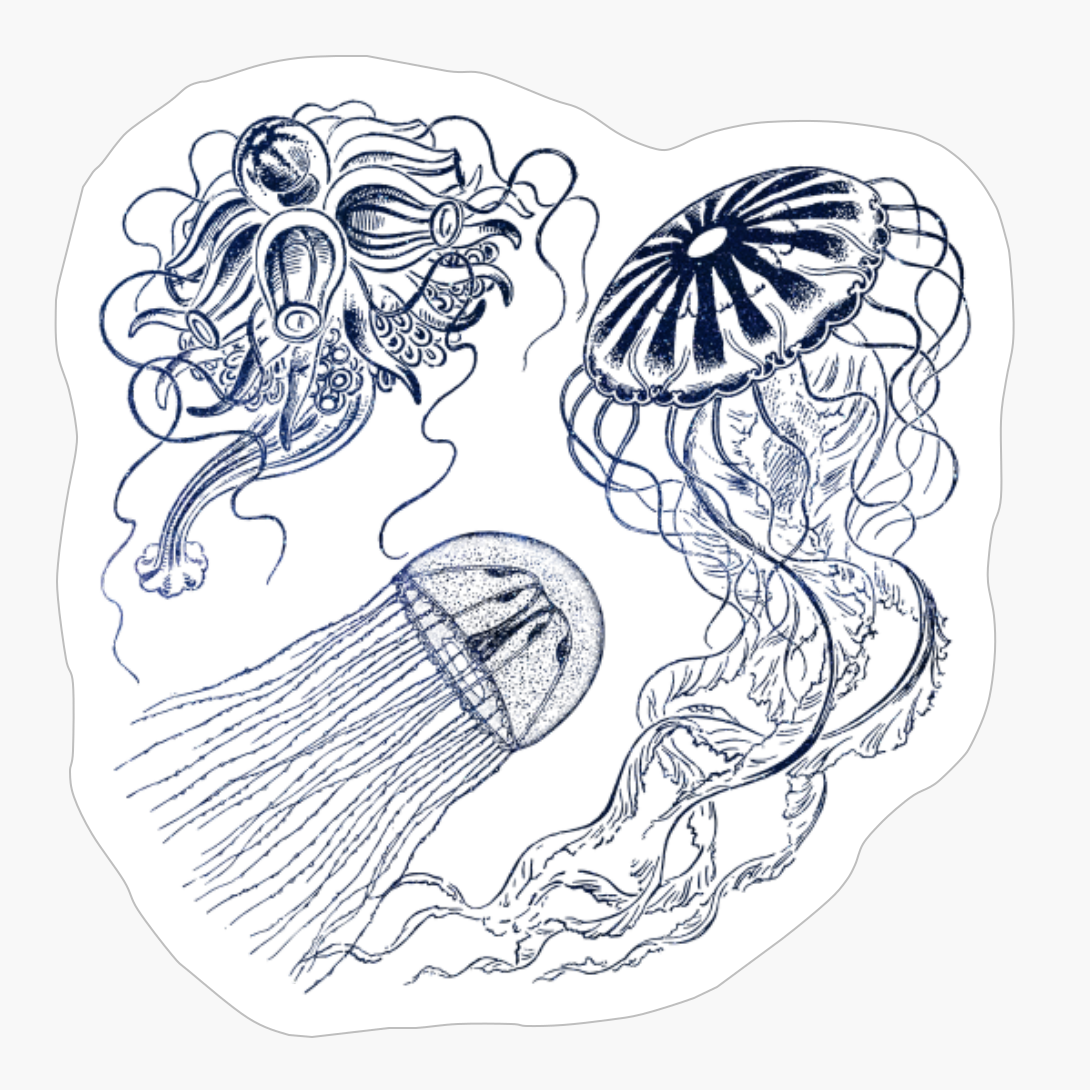 Milky Way Illustration From Space Astronomy Of A Night Galaxy With Nebula, Like Jellyfish Jelly Sea Ocean