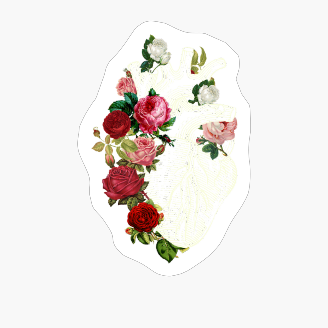 Anatomical Heart And Flowers, Flower Anatomical Heart