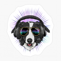 Music Border Collie DJ With Headphones