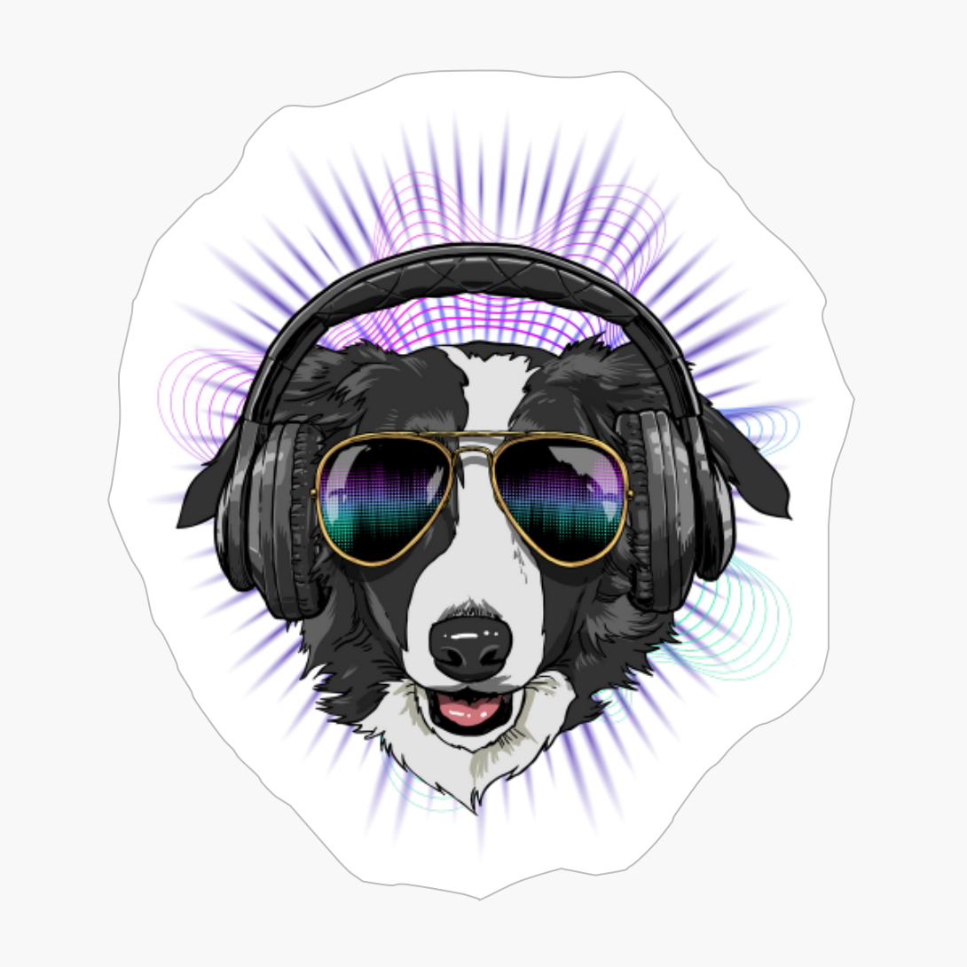 Music Border Collie DJ With Headphones