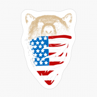 Stars And Stripe Bear