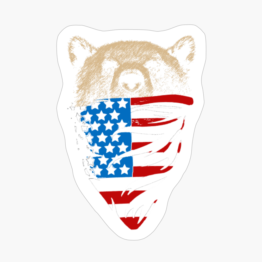 Stars And Stripe Bear