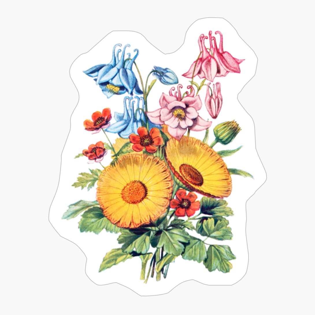 Daisy Sunflower Pink Blue