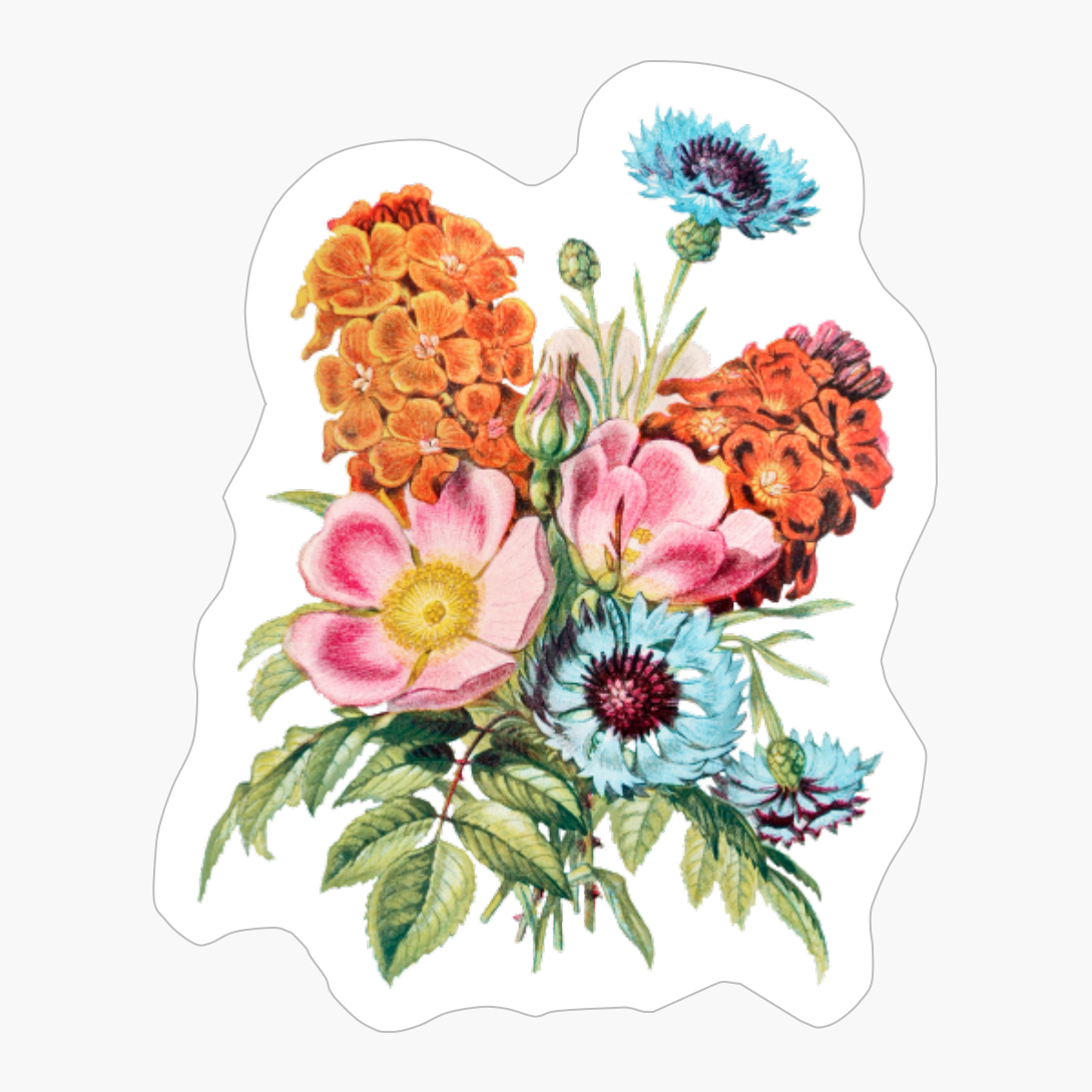 Flower Pink Red Blue