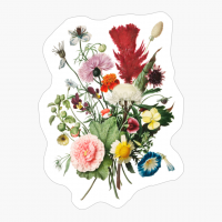 Flower Daisy Pink Red Blue