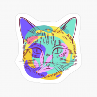 Sketched Cat - Color