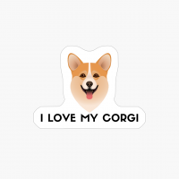 Funny Cute Corgi Dog
