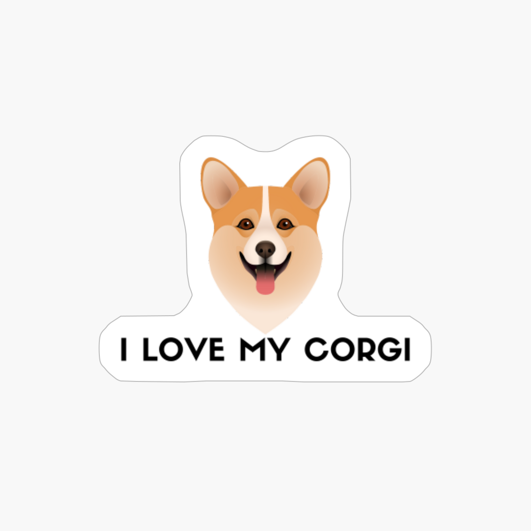Funny Cute Corgi Dog