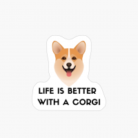 Funny Cute Corgi Dog