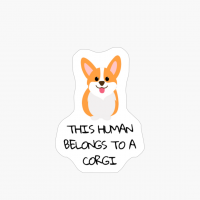 Funny Cute Corgi Dog