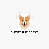 Funny Cute Corgi Dog
