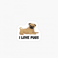 Pugs Not Drugs Funny Dog
