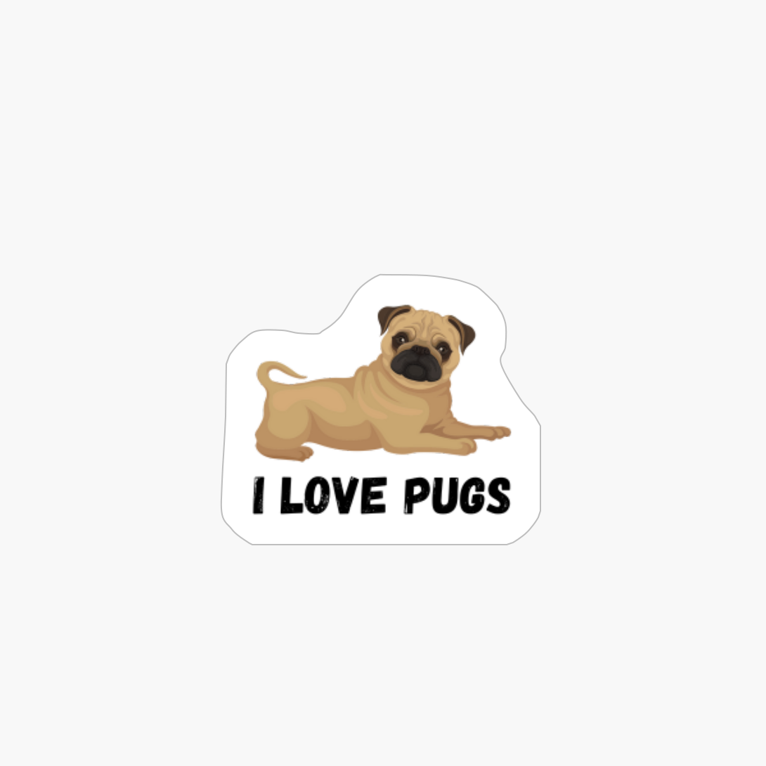 Pugs Not Drugs Funny Dog