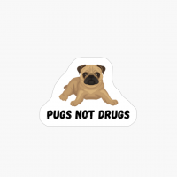 Pugs Not Drugs Funny Dog