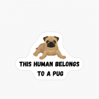 Pugs Not Drugs Funny Dog