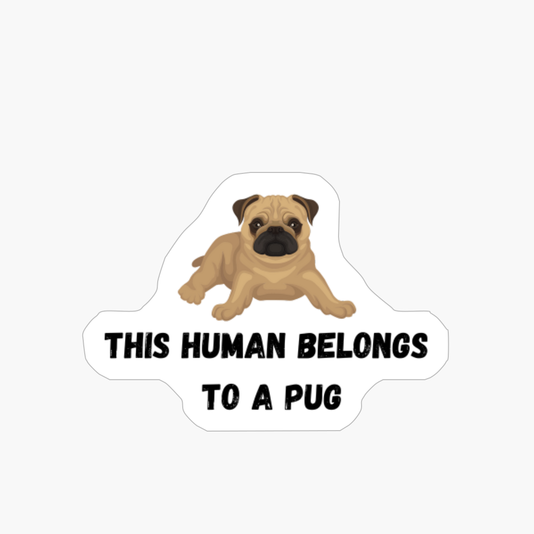 Pugs Not Drugs Funny Dog