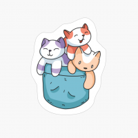 CATS POCKET DESIGN