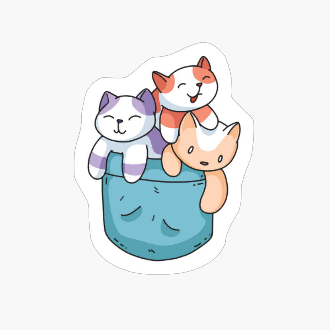 CATS POCKET DESIGN