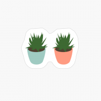 Succulents
