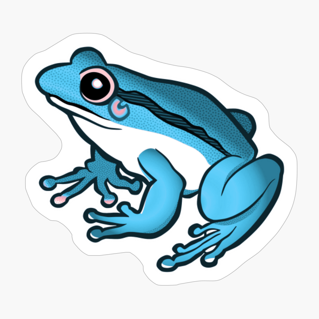 Transgender Pride Cartoon Frog Art