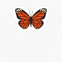 Cute Monarch Butterfly